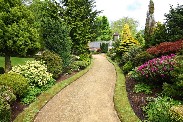 Wolno rosnące iglaki doskonale sprawdzą się do nasadzeń przy ścieżkach