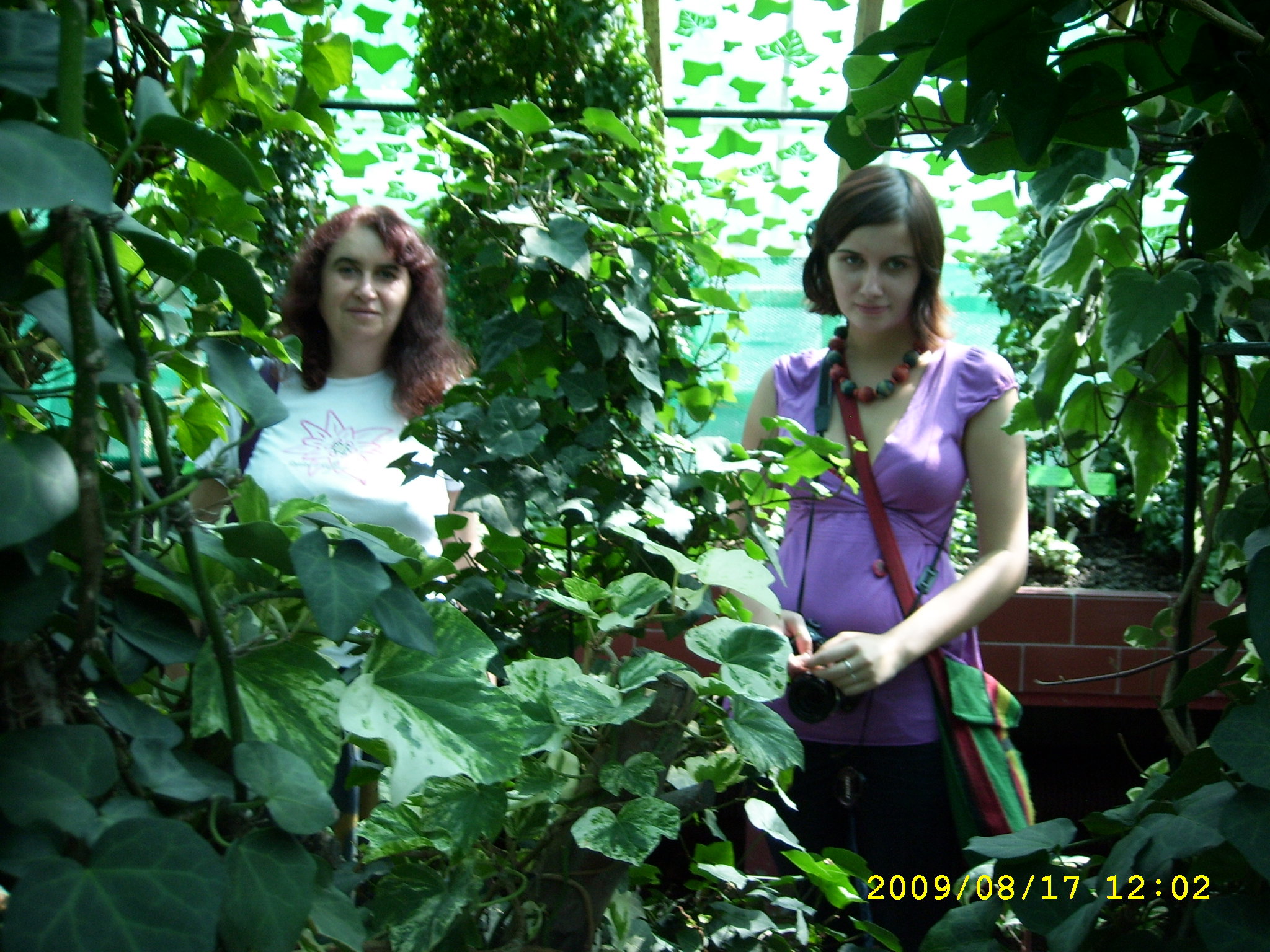 WROCŁAW 
BOTANICZNY
BLUSZCZOWO