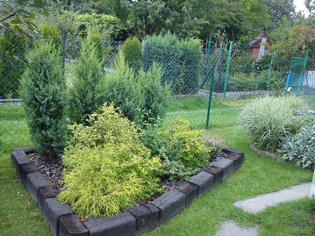 Z tyłu działki zrobiliśmy z mężem dwa klomby z podkładów kolejowych w których posadziliśmy iglaki
