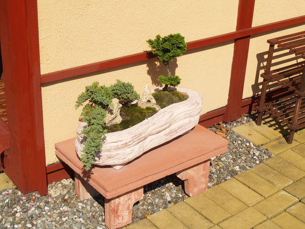 Zaaranżowane w pojemnikach rośliny (jałowiec płożący 'Glauca' i cyprysik tępołuskowy) można tak ukształtować, aby stworzyły miniogród.