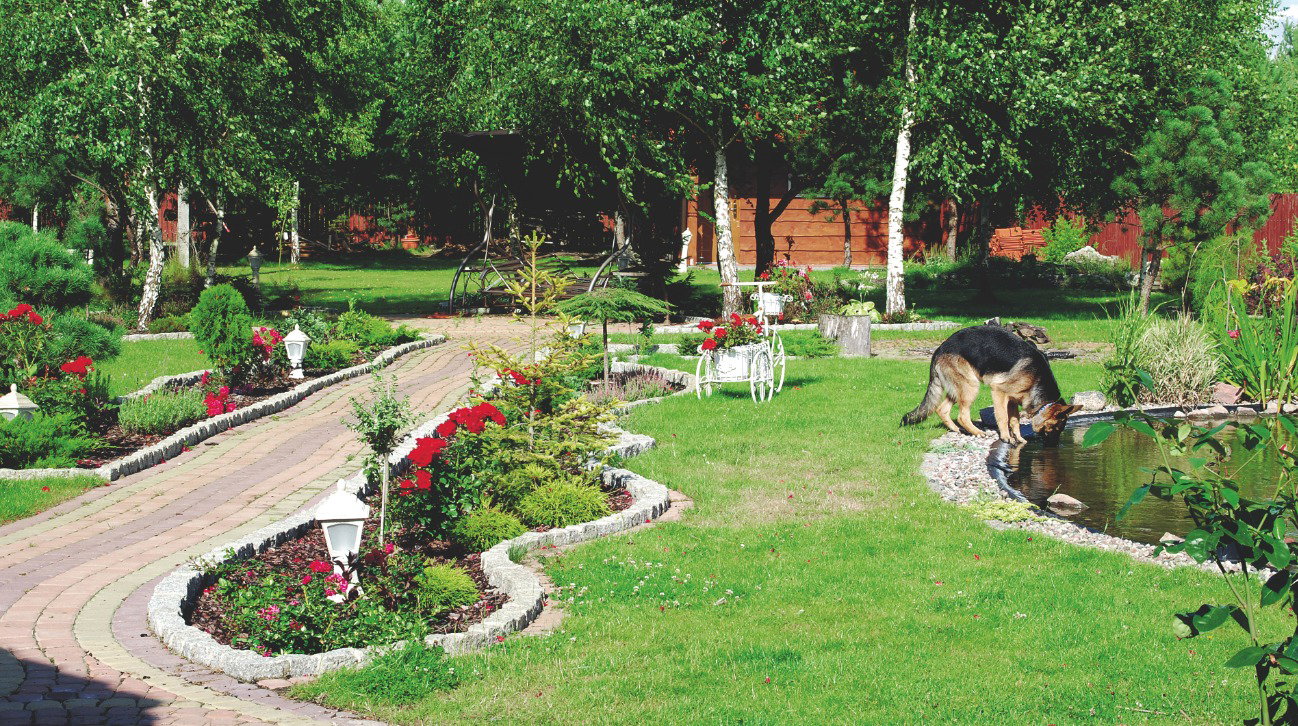 Dobrym sposobem na zapełnienie dziur w trawniku są wysepki z roślin. Wybierajmy gatunki, które będą kwitły cały sezon.