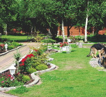 Dobrym sposobem na zapełnienie dziur w trawniku są wysepki z roślin. Wybierajmy gatunki, które będą kwitły cały sezon.