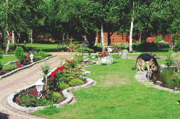 Dobrym sposobem na zapełnienie dziur w trawniku są wysepki z roślin. Wybierajmy gatunki, które będą kwitły cały sezon.