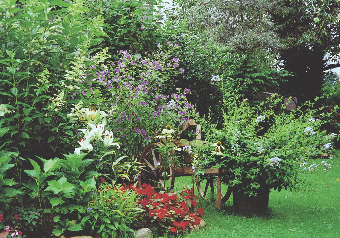Donice z kolorowymi kwiatami efektownie wyglądają zarówno na świeżym powietrzu, jak i na parapecie w domu.
