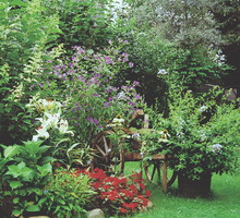 Donice z kolorowymi kwiatami efektownie wyglądają zarówno na świeżym powietrzu, jak i na parapecie w domu.