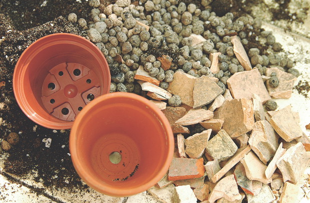 Doniczki plastikowe są lekkie i praktyczne, natomiast gliniane znacznie krócej utrzymują wilgotność ziemi. 