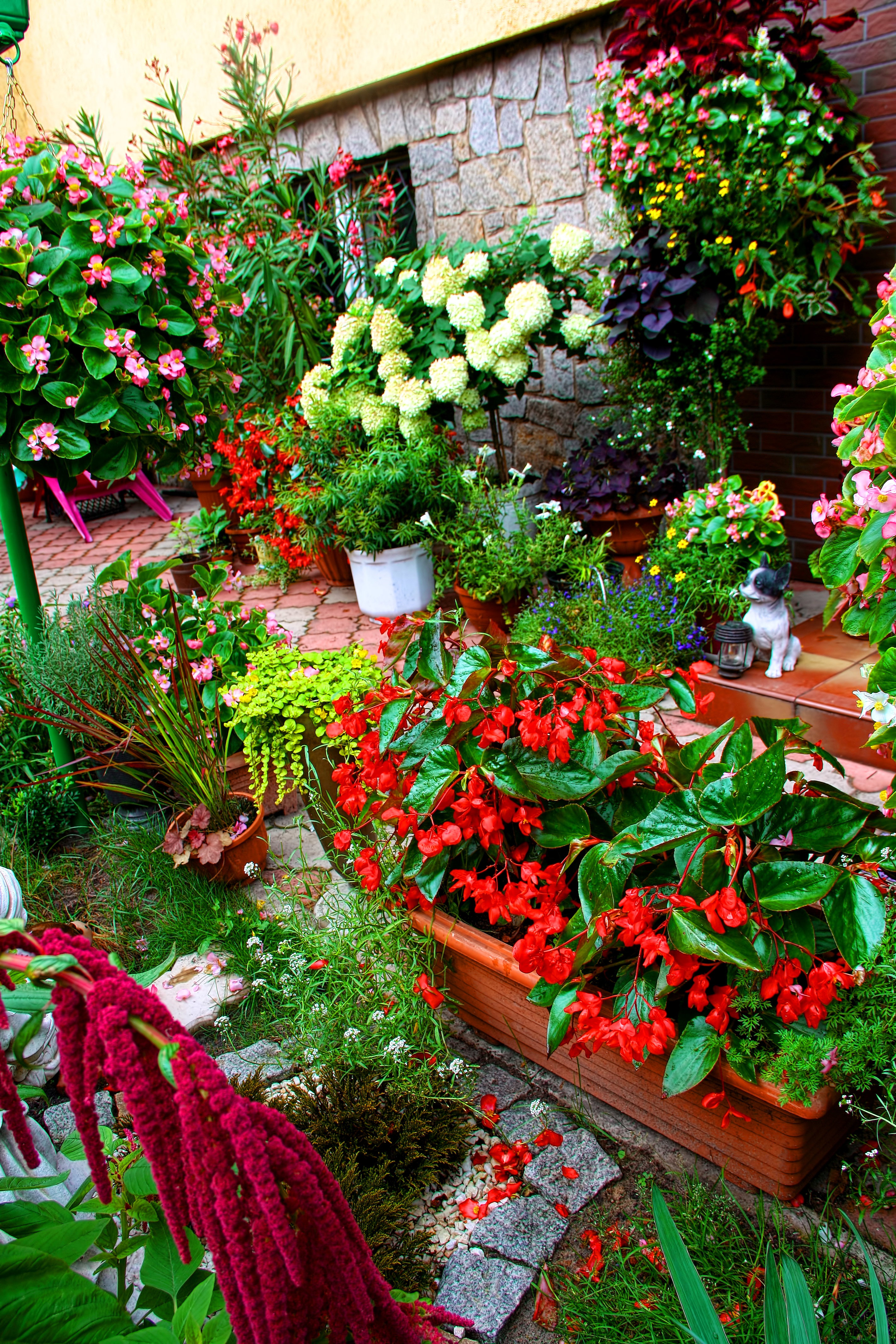 Kwiatowy zawrót głowy