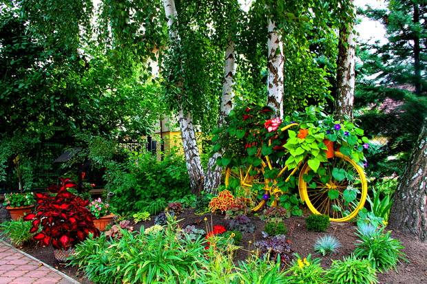 Kwiatowy zawrót głowy