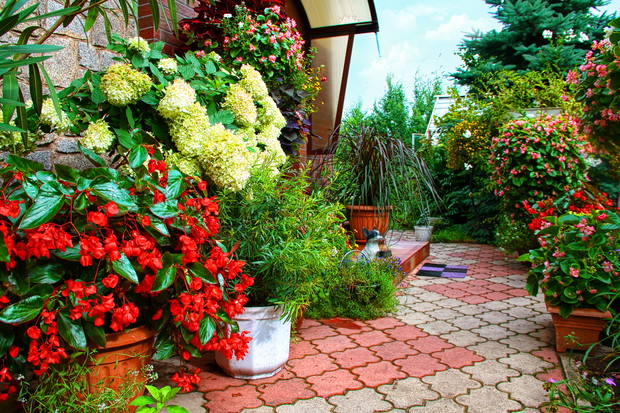 Kwiatowy zawrót głowy