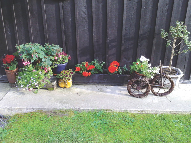 Kwiaty w wiklinowych i glinianych donicach wyglądają naturalnie.