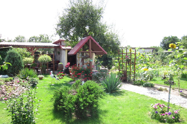 mój ogródek