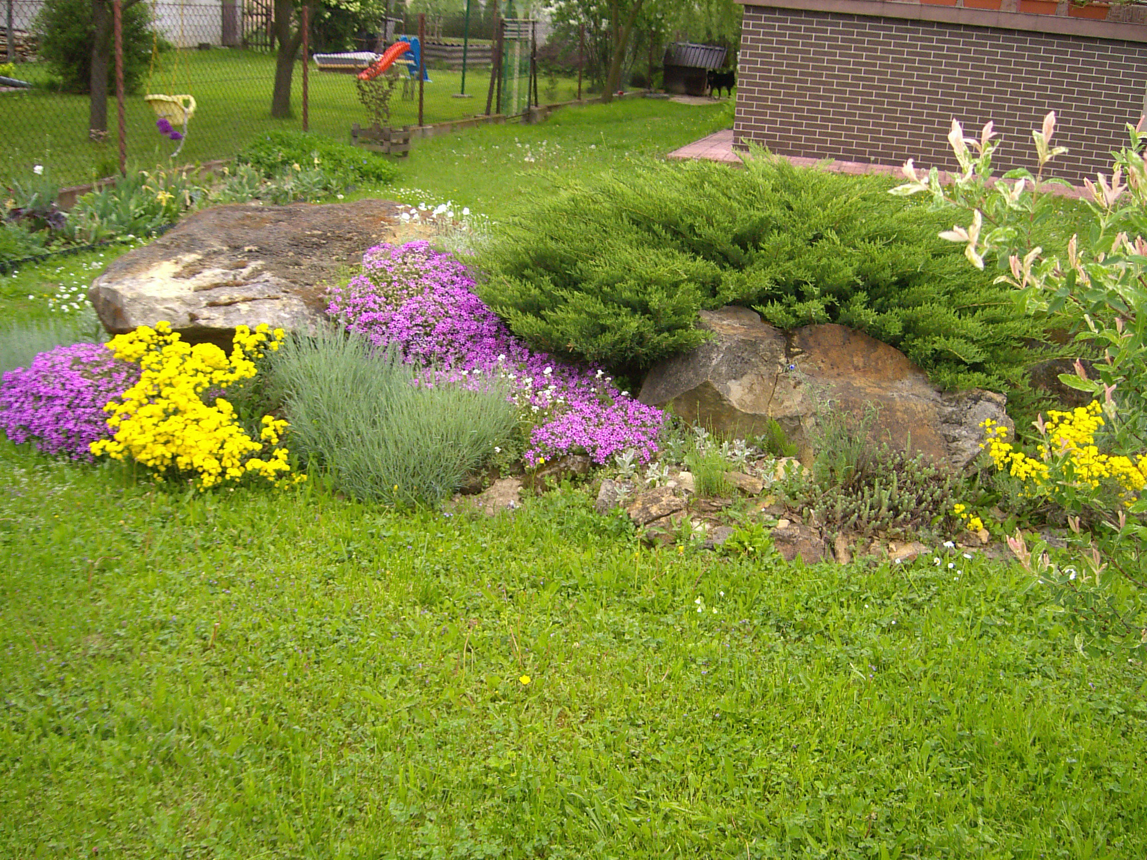 mój skalniak na wiosnę