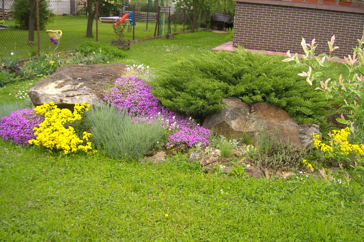 mój skalniak na wiosnę