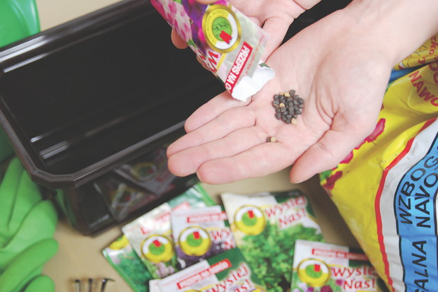 Nasiona tradycyjne zwykle są drobne, a przez to niewydajne.