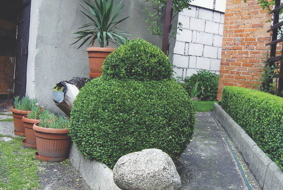 Początkowo miała to być tylko kula, ale wyobraźnia wzięła górę.