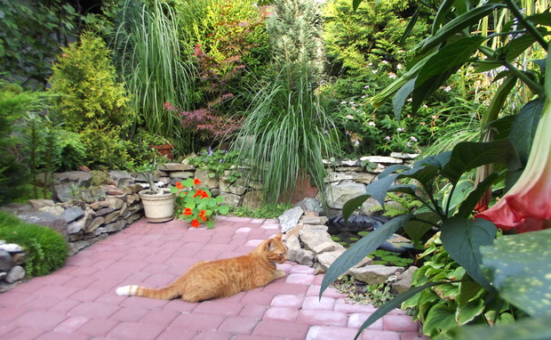 popołudniowa sjesta