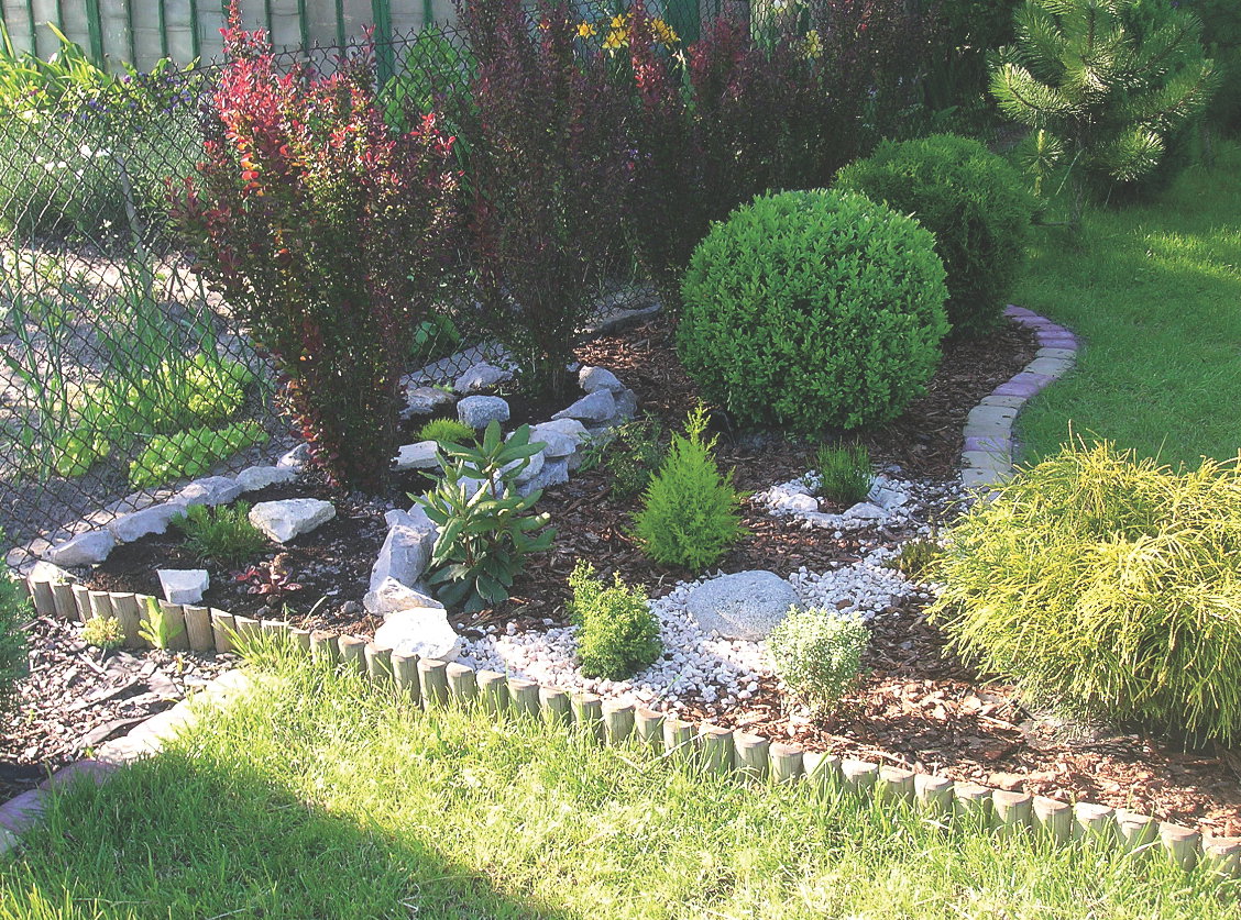 Przy zbyt dużej wilgotności podłoża bukszpanom grozi choroba grzybowa. Wtedy porażone pędy należy wyciąć, a krzewy opryskać.