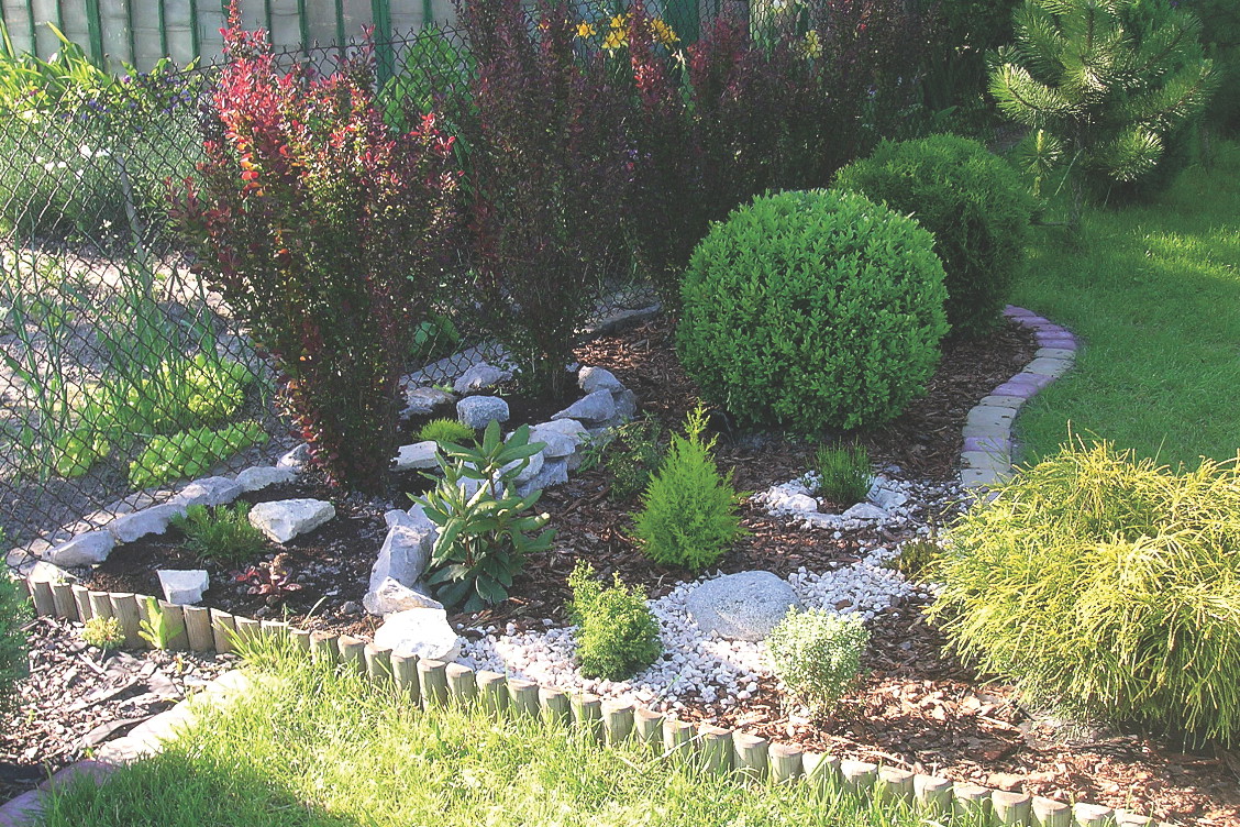 Przy zbyt dużej wilgotności podłoża bukszpanom grozi choroba grzybowa. Wtedy porażone pędy należy wyciąć, a krzewy opryskać.