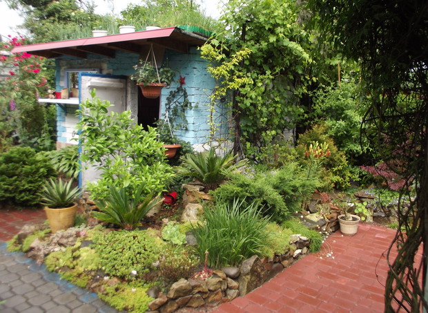 rojniki i byliny wypełniają przestrzeń