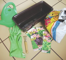 Warto dokładnie czytać etykiety na opakowaniach. Znajdują się tu ważne informacje o odmianach i pochodzeniu roślin oraz o sposobie ich wysiewu.