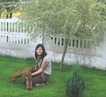 Wierzba japońska potrzebuje słońca i otwartej przestrzeni. Pod drzewkiem sfotografowałam moją siostrę, Elizę, i nasze pieski.