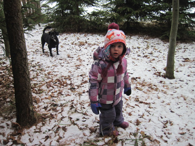 A ku ku! Bawię się w berka z Larą- pieskiem dziadków