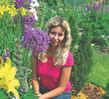 Czosnek olbrzymi Allium giganteum kwitnie w czerwcu. Osiąga wysokość 150 cm, a jego kwiatostan ma średnicę nawet do 12 cm.