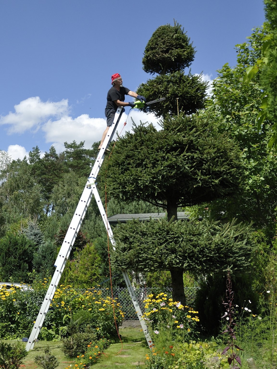 Do cięcia wykorzystuję nożyce elektryczne, ale z powodzeniem może to być urządzenie bez zasilania