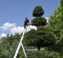 Do cięcia wykorzystuję nożyce elektryczne, ale z powodzeniem może to być urządzenie bez zasilania