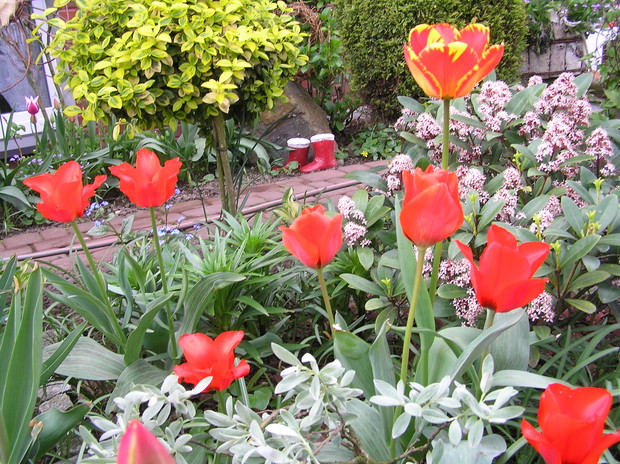 dostalam je od syna...:)