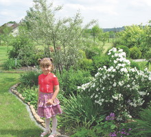Moja córka zachwyca się kwiatami odmiany 'Manteau d'Hermine', które pięknie pachną.