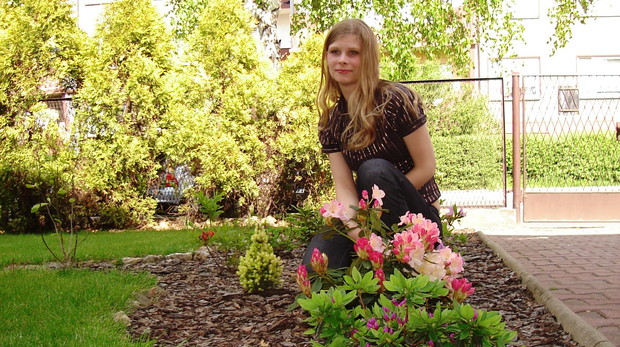 „Nawet młode krzewy wyglądają cudownie”, pisze nasza czytelniczka.