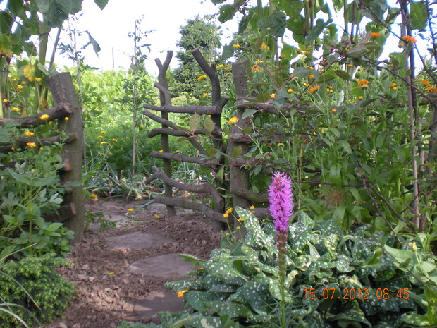 Od części warzywnej wiejski zakątek oddzielony jest płotem z surowych gałęzi.