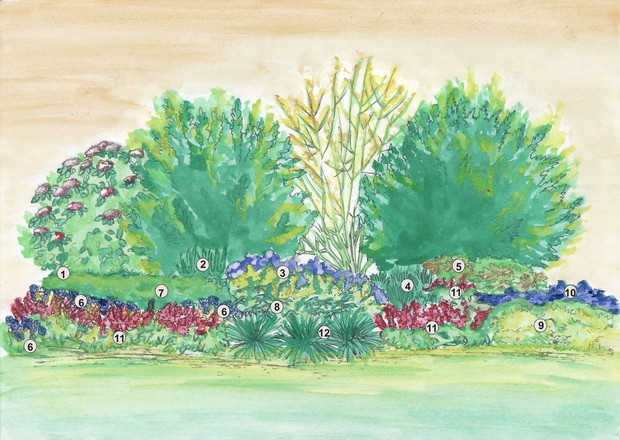 Odpowiednie rozplanowanie roślin towarzyszących różanecznikom sprawi, że kompozycja będzie efektowna przez cały rok. Między krzewami można posadzić: 1 Bodziszki 2 Dzwonki 3 Ułudki leśne 4 Przebiśniegi 5 Ciemierniki białe 6 Fiołki wonne 7 Zawilce 8 Wilczom