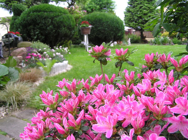 Ogród to piękno ,które cieszy moje oczy i duszę