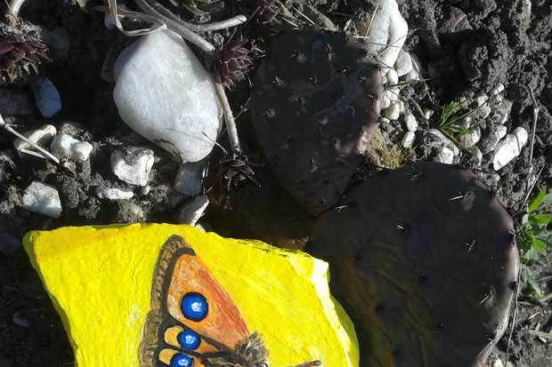 opuncja
i motyl
lotnica zyska