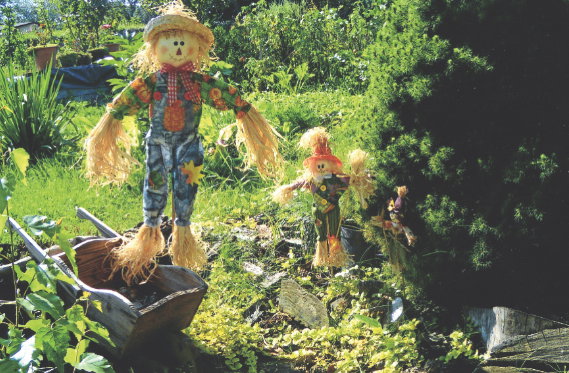 Po powodzi w ogródku zabrakło bujnych roślin, ale za to stanęło w nim kilka sympatycznych słomianych ludzików.