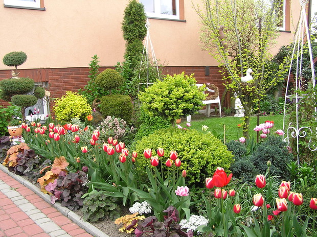 przedogródek w całej okazałości............