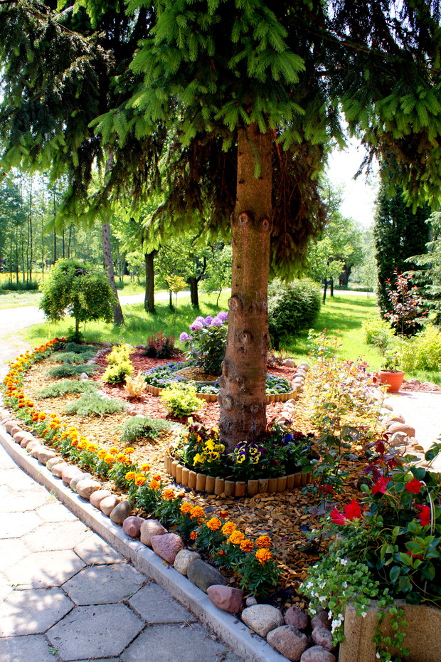 Rabata pod świerkiem