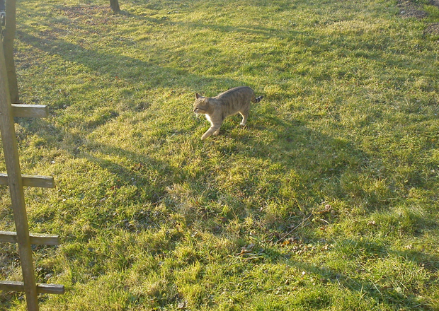 spacerek w słońcu :)