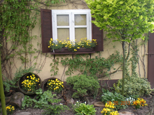 Stara rama okienna zyskała nowy blask.