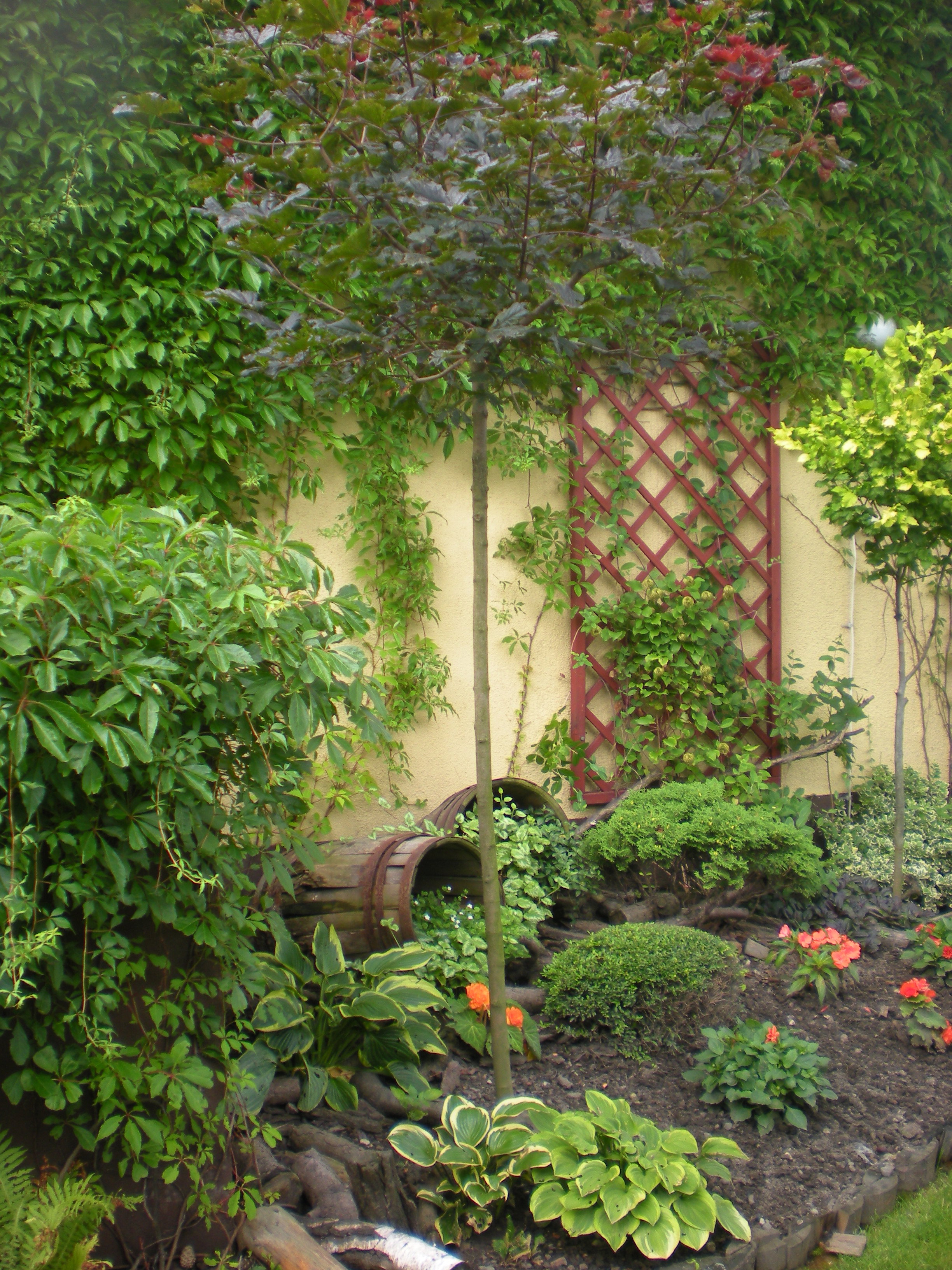 Stare, drewniane beczki również znalazły swoje zastosowanie.