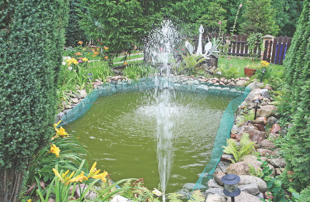 Staw został otoczony ochronną siatką, ponieważ ryby za bardzo interesowały domowego kota.