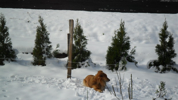 W oczekiwaniu na swojego gościa ;)