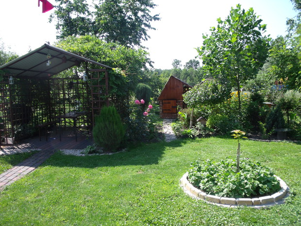 Wędzarnia i altana w cieniu glicyni