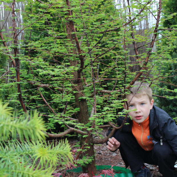 Eryk pod metasekwoją