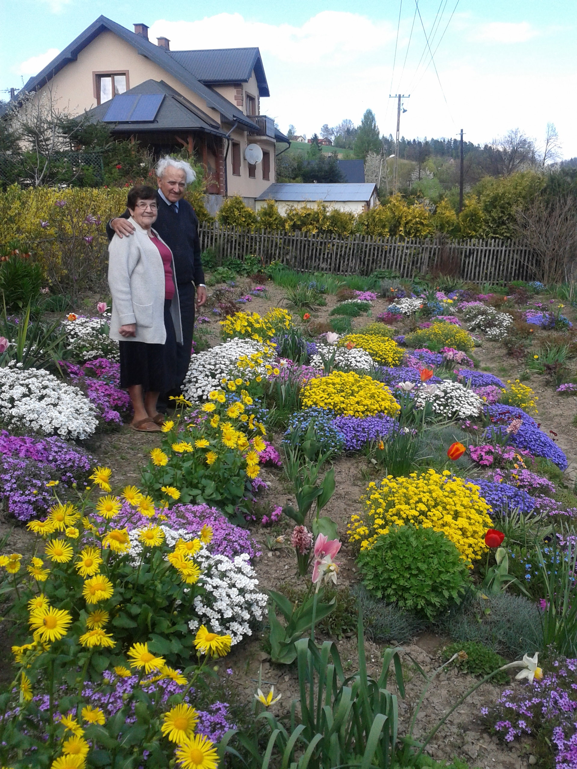 Kolory wiosny w ogrodzie mojej Babci Helenki