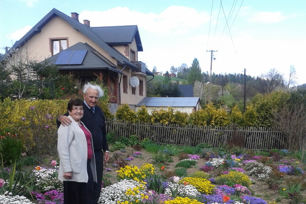 Kolory wiosny w ogrodzie mojej Babci Helenki