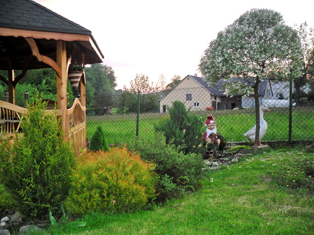 Krasnal wśród krzewów