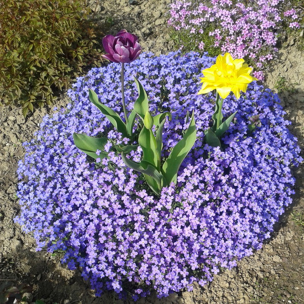 Kwiatowa kompozycja Babci